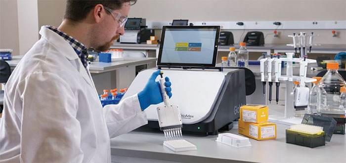 富马酸二甲酯（DMF）检测